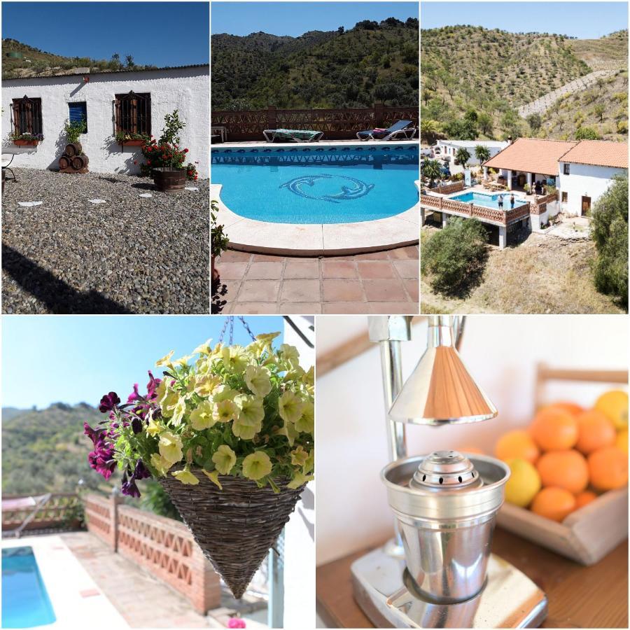 شقة Peace And Tranquility At Montana Retreat ألورا المظهر الخارجي الصورة