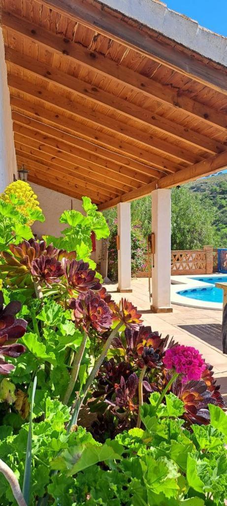 شقة Peace And Tranquility At Montana Retreat ألورا الغرفة الصورة